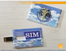 12098 - Pen Drive Card